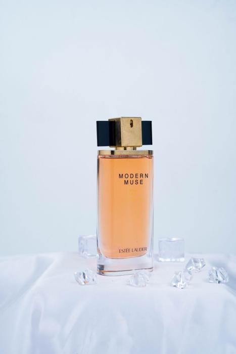 ESTEE LAUDER MODERN MUSE