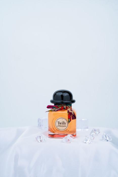 TWILLY D’HERMES