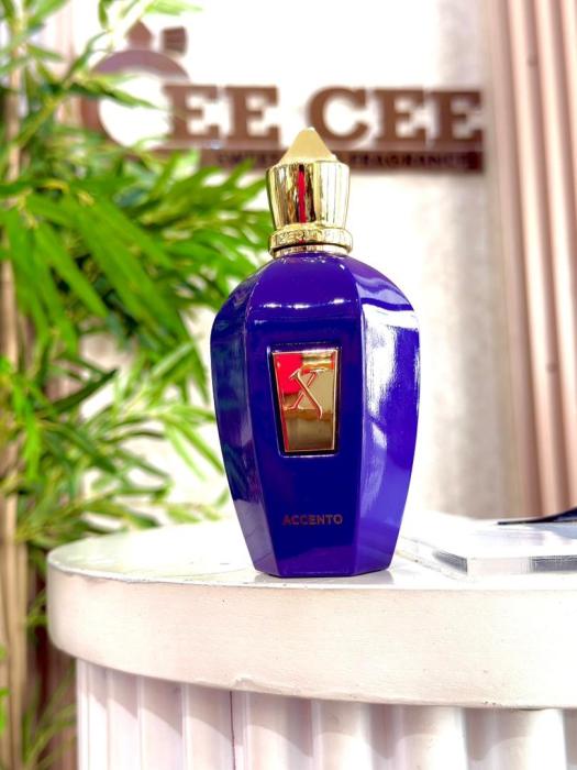 XERJOFF PURLE ACCENTO